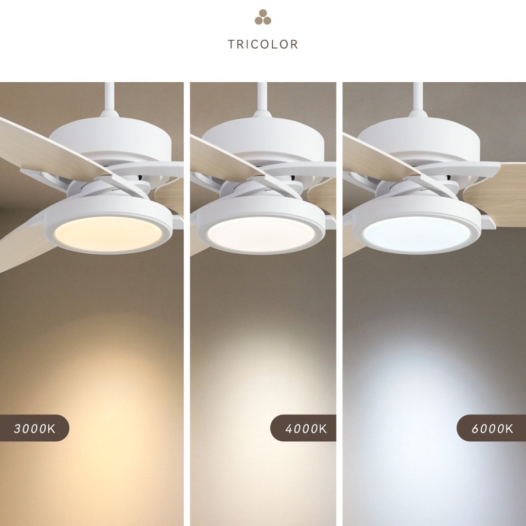 LightPro 52″ LED Smart Ceiling Fan — Modern Comfort Meets Intelligent Control