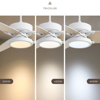 LightPro 52″ LED Smart Ceiling Fan — Modern Comfort Meets Intelligent Control