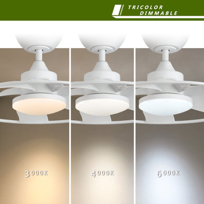 LightPro 22″ LED Smart Ceiling Fan — Small-Space Cooling, Big Performance