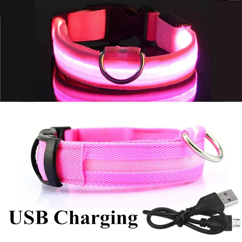 LED Dog Collar